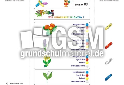 Kl-Blumen 03.pdf